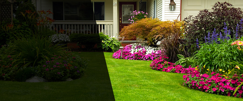 Rex Landscapers