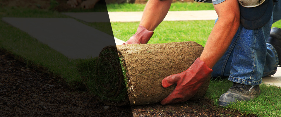 Rex Landscapers